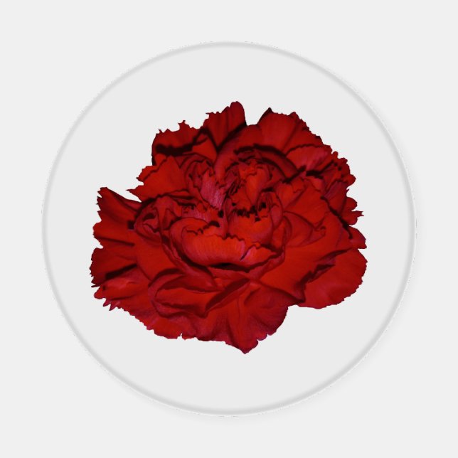 Red Carnation Coaster Set (Single)