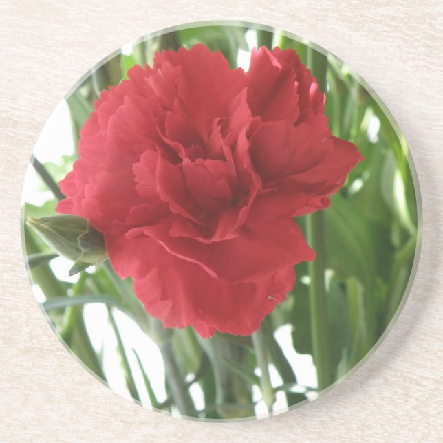Red Carnation Coasters (Front)