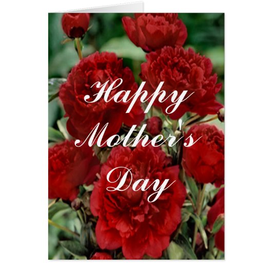 Red Carnation Flowers Greeting Card (Front)