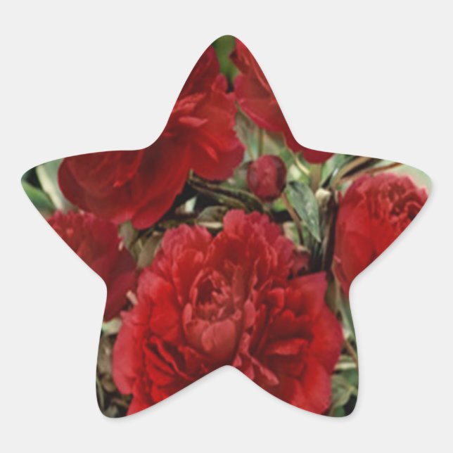 Red Carnation Flowers Stickers (Front)