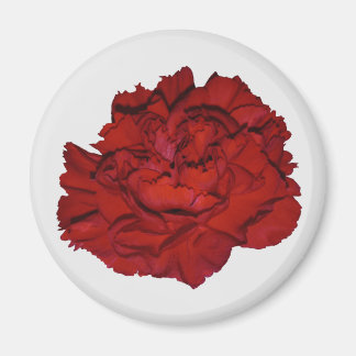 Red Carnation Magnet