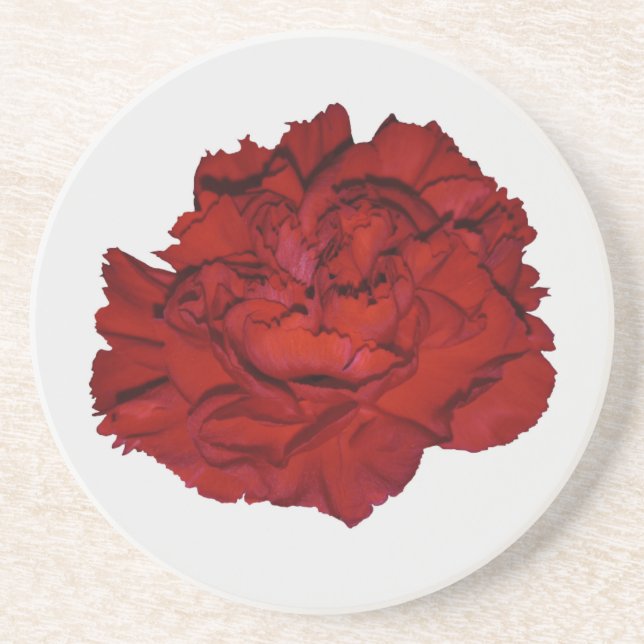 Red Carnation Sandstone Coaster (Front)