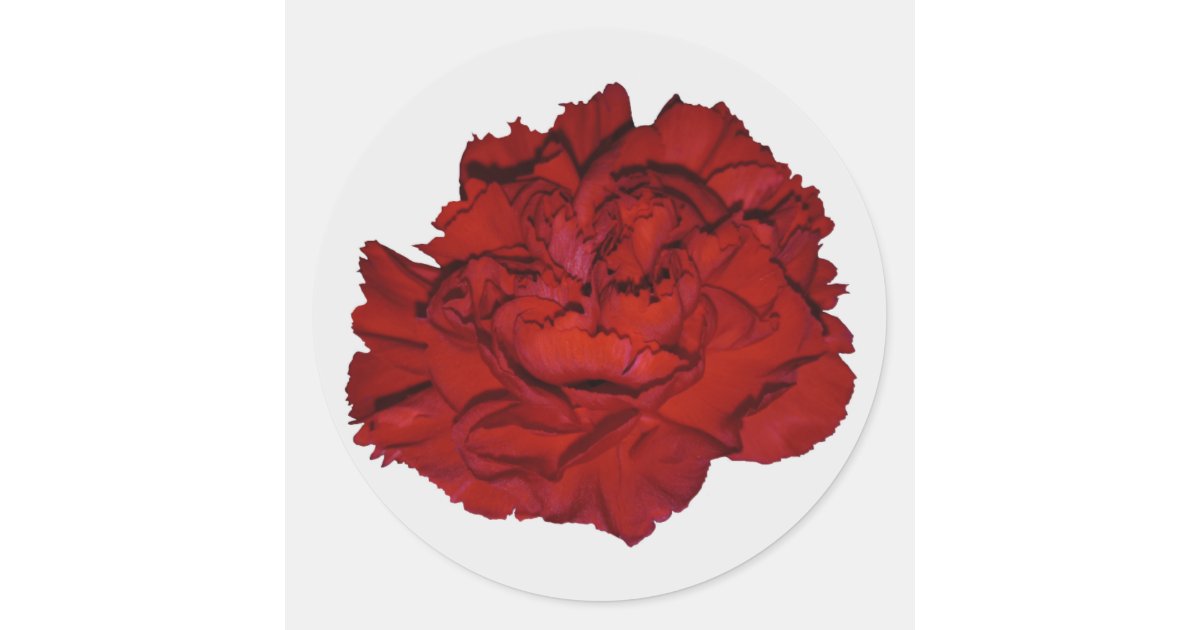 Red Carnation Stickers Zazzle