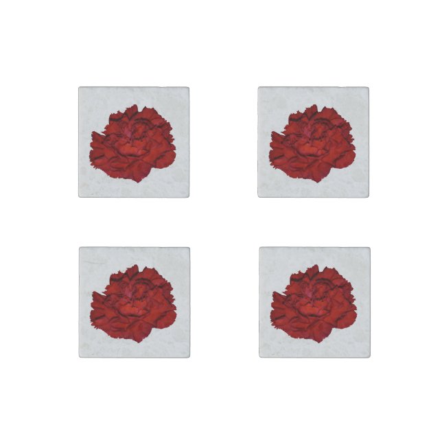 Red Carnation Stone Magnets (Front)