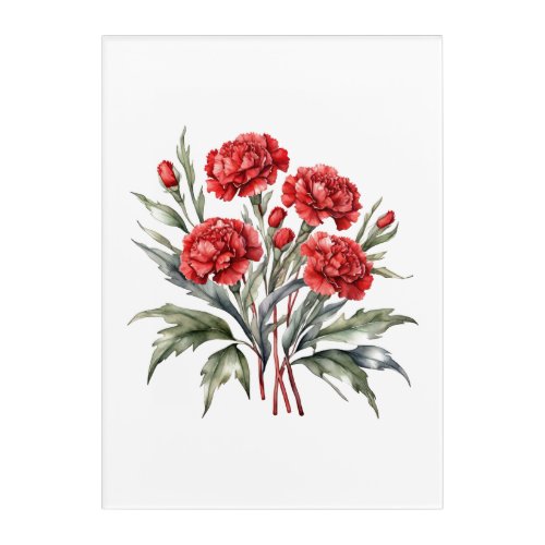 Red Carnations Floral Flowers Watercolor Acrylic Print