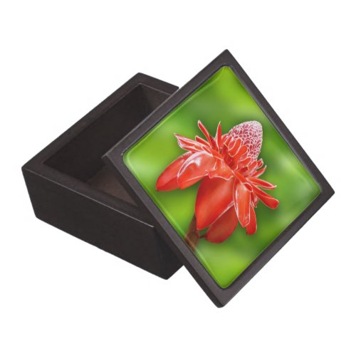 Red Carribean Rose Exotic Flower Jewelry Box