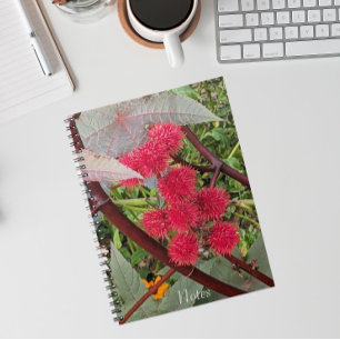 Red Castor Bean Plant Seed Pods Notebook