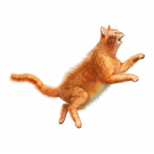 Red Cat Acrylic Silhouette Cutout