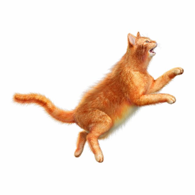 Red Cat Acrylic Silhouette Cutout (Front)