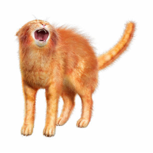 Red Cat Acrylic Silhouette Cutout