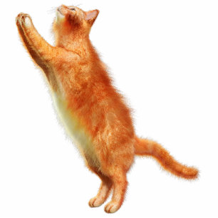 Red Cat Acrylic Silhouette Cutout