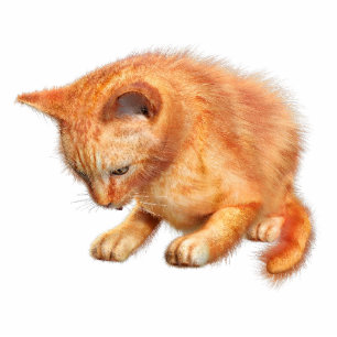 Red Cat Acrylic Silhouette Cutout