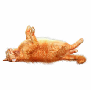 Red Cat Acrylic Silhouette Cutout