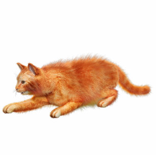 Red Cat Acrylic Silhouette Cutout