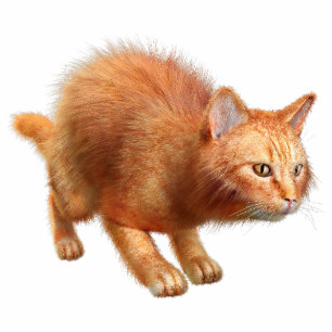 Red Cat Acrylic Silhouette Cutout