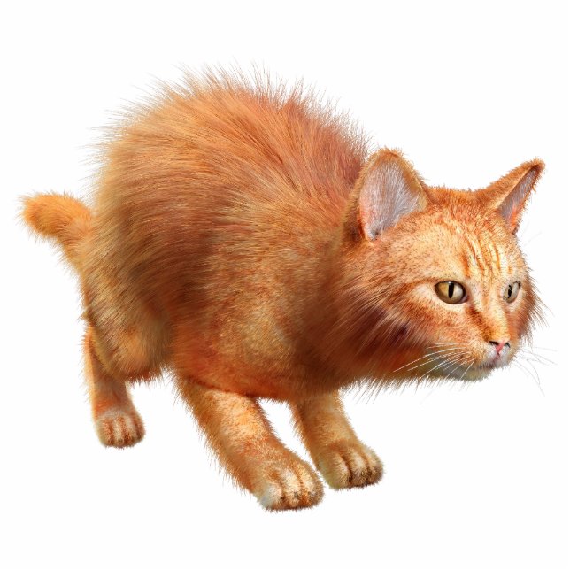 Red Cat Acrylic Silhouette Cutout (Front)