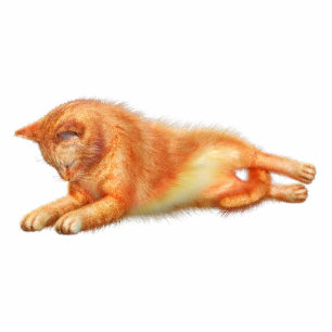 Red Cat Acrylic Silhouette Cutout