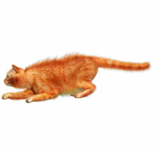 Red Cat Acrylic Silhouette Cutout