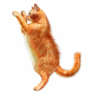 Red Cat Acrylic Silhouette Cutout