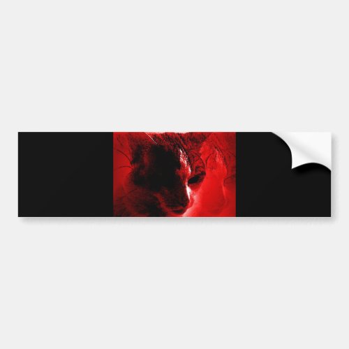 Red Cat Bumper Sticker