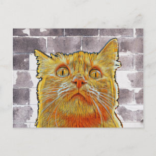 Red Cat in Trouble. Postcard