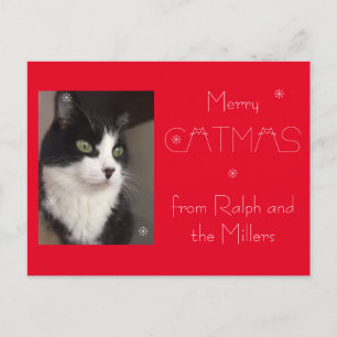 Red Cat Pet Photo Merry Catmas Holiday Postcard