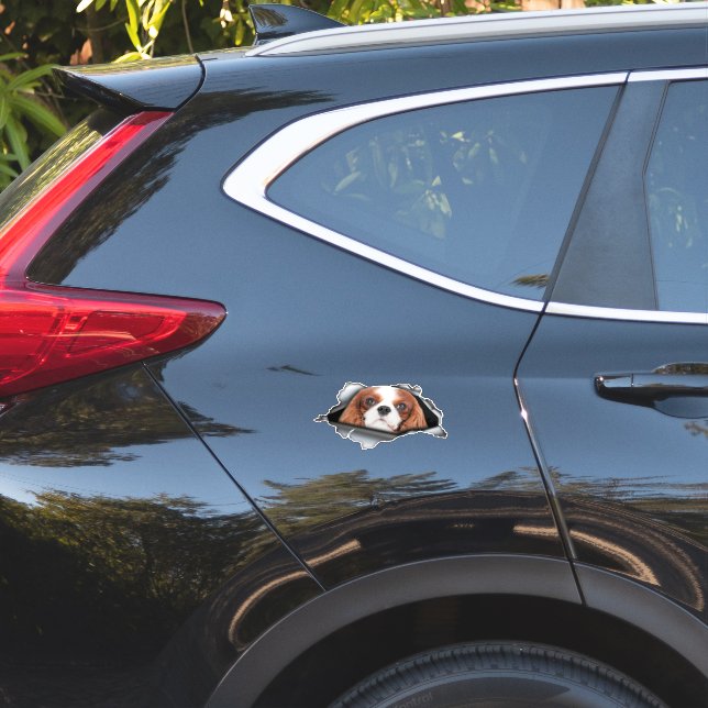 Red Cavalier King car decal, Red Cavalier King Sticker (Car Side)
