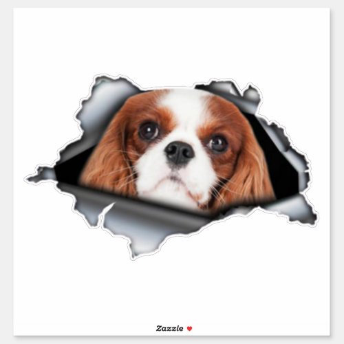 Red Cavalier King car decal Red Cavalier King  Sticker