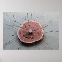 Red Cedar Natural Eco-Art Sculpture Centered