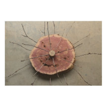 Red Cedar & Twigs Nature Art Sculpture Centered