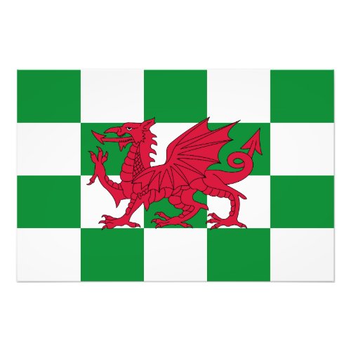 Red Celtic Dragon Flag Chequered Mystical Creature Photo Print