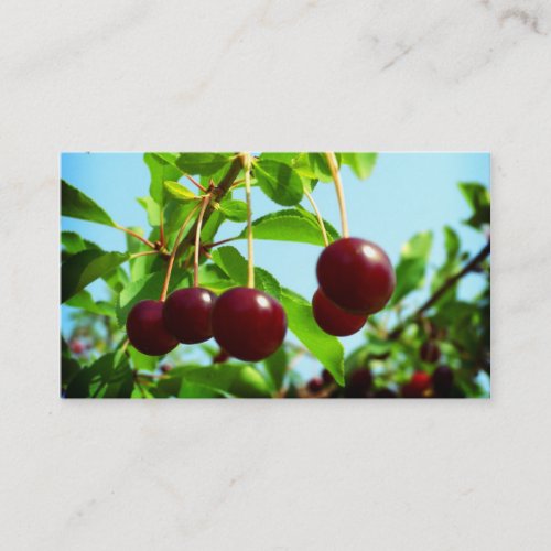 Red cherries - add your own touch business card template