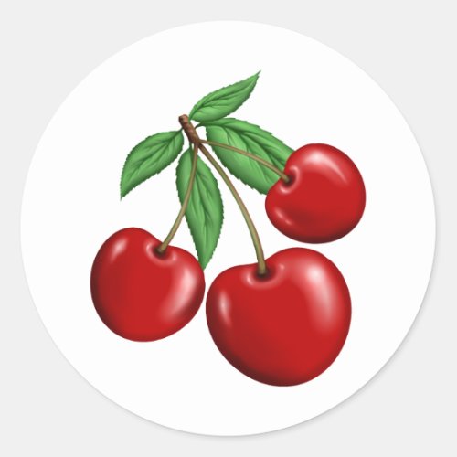 Red Cherries Retro Style Fruit Design Classic Round Sticker