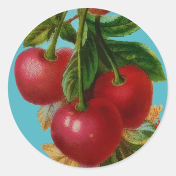 Red Cherries Sticker by LeAnnS123 at Zazzle