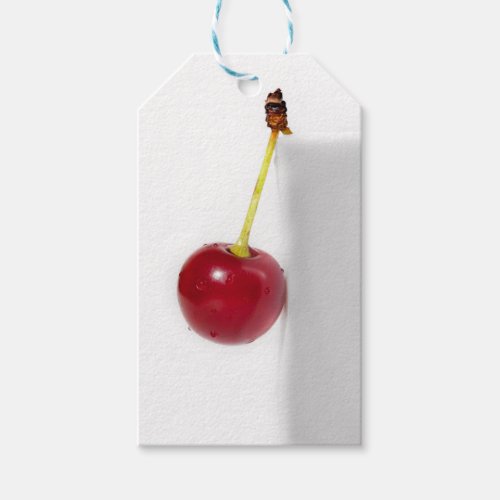 Red Cherry Berry Gift Tags