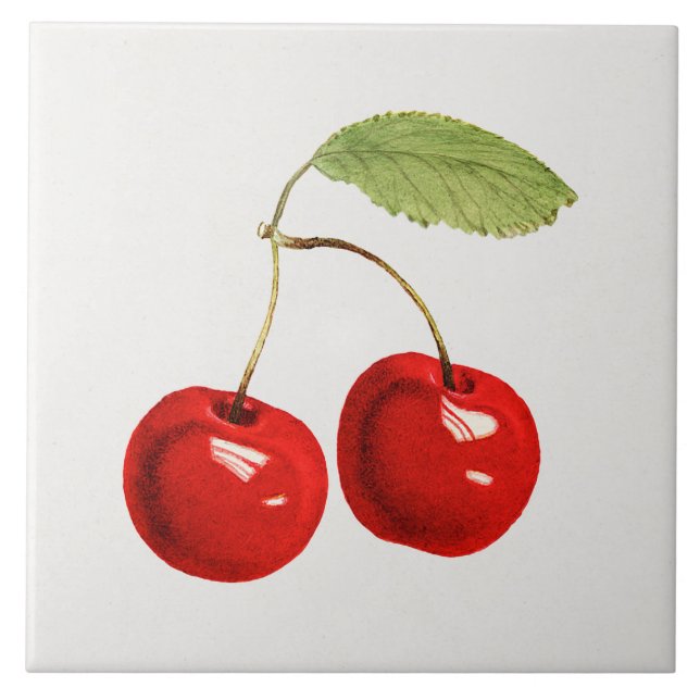 Red Cherry Illustration Ceramic Tile (Front)