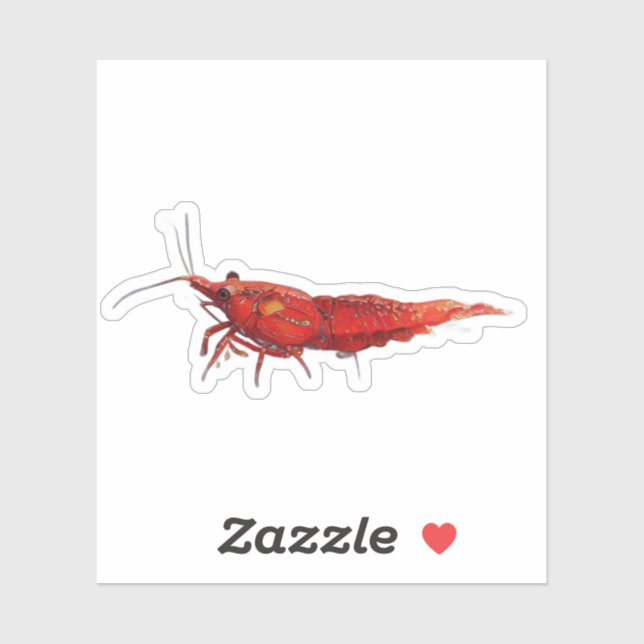 Red cherry shrimp RCS  Sticker (Sheet)