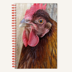 Red Chicken Hen Photo Notebook