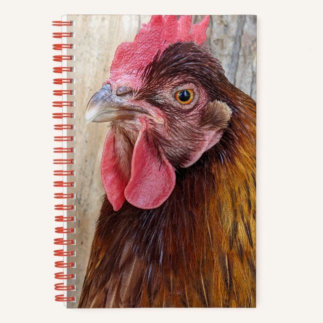 Red Chicken Hen Photo Notebook (Front)