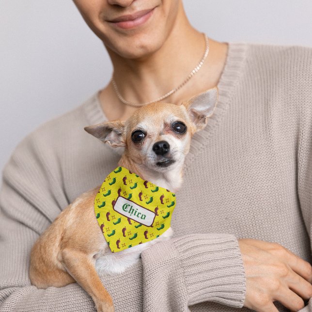 Red chile green chile zia sun bandana (Creator Uploaded)