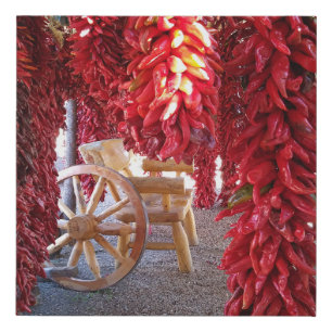 Red Chile Pepper Ristra on canvas art