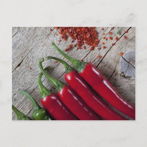 Red Chili Pepper Postcard