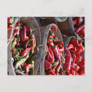 Red Chili Postcard
