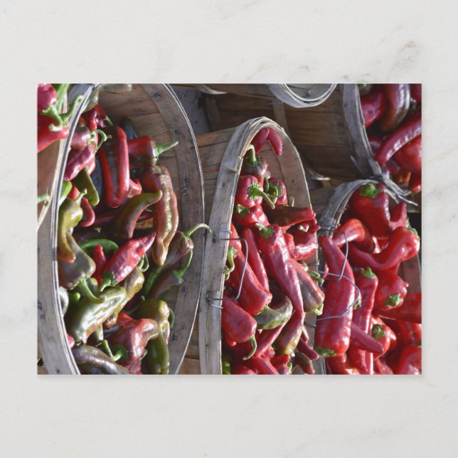 Red Chili Postcard (Front)