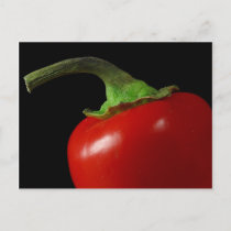 Red chili postcard