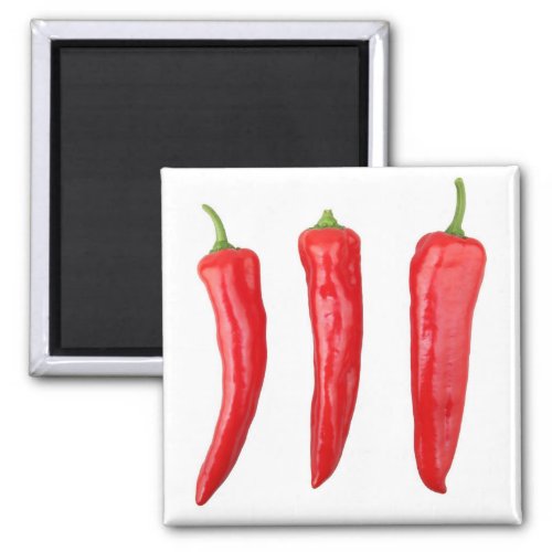 Red chilli peppers magnet