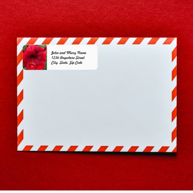 Red Christmas Amaryllis Floral Return Address Label (In Situ Envelope)