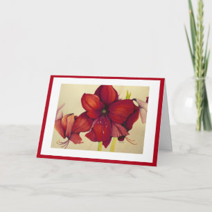 Red Christmas Amaryllis Painting Red Border Card