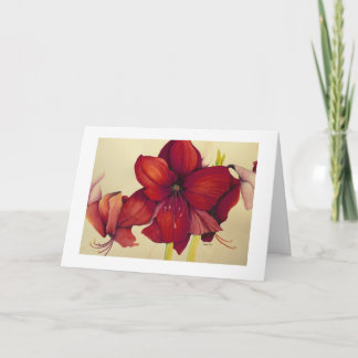 Red Christmas Amaryllis Painting White Border Card