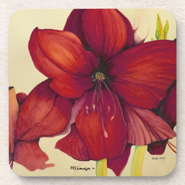 Red Christmas Amaryllis Plastic Coaster Set (Front)